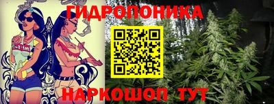 амф Ковров