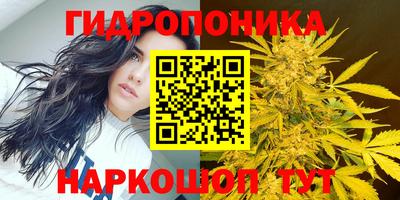 амф Ковров