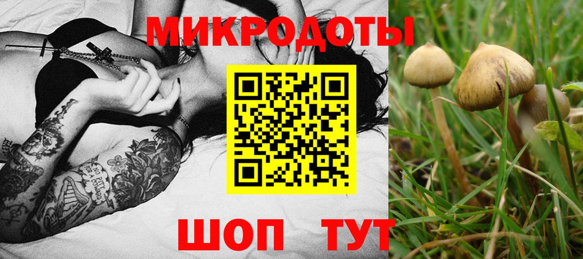 Бор  магазин    Вход с VPN  Галлюциногенные грибы ЛСД 
